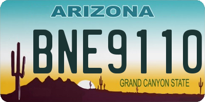 AZ license plate BNE9110