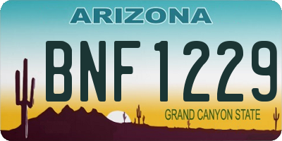 AZ license plate BNF1229