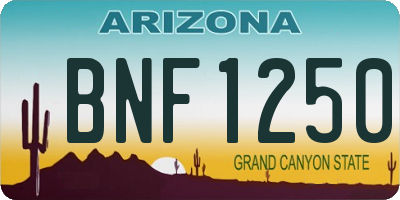 AZ license plate BNF1250