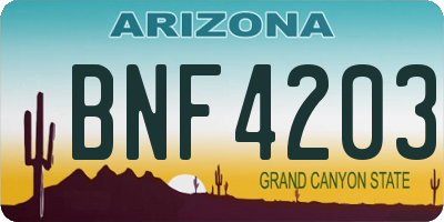 AZ license plate BNF4203