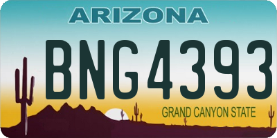 AZ license plate BNG4393
