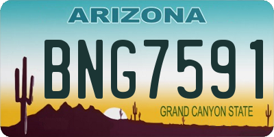 AZ license plate BNG7591