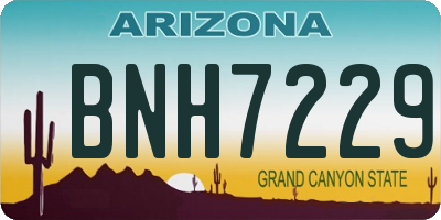 AZ license plate BNH7229
