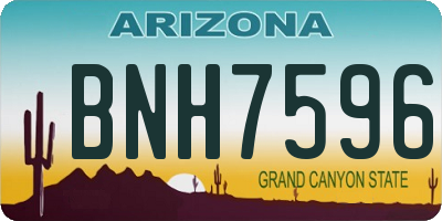AZ license plate BNH7596