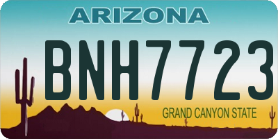 AZ license plate BNH7723