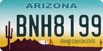 AZ license plate BNH8199