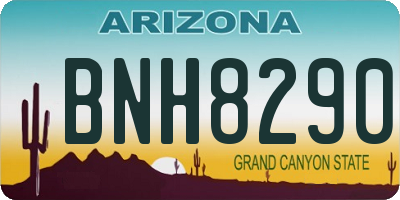 AZ license plate BNH8290