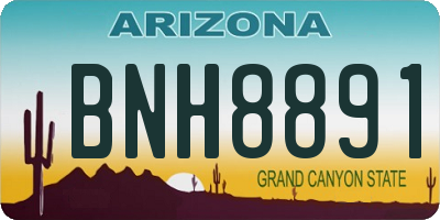 AZ license plate BNH8891