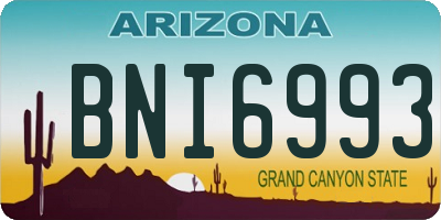 AZ license plate BNI6993
