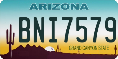 AZ license plate BNI7579