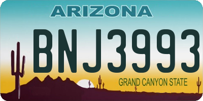 AZ license plate BNJ3993