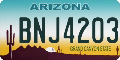 AZ license plate BNJ4203