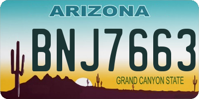 AZ license plate BNJ7663