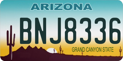 AZ license plate BNJ8336
