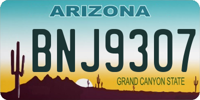 AZ license plate BNJ9307