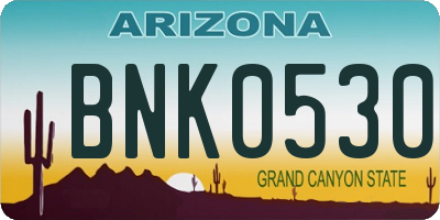 AZ license plate BNK0530