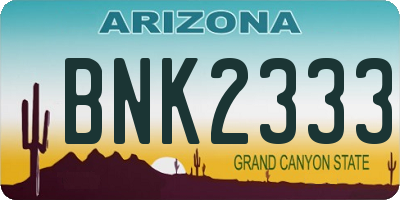 AZ license plate BNK2333