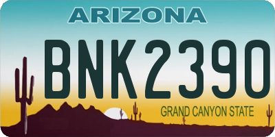 AZ license plate BNK2390