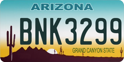 AZ license plate BNK3299