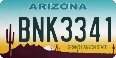 AZ license plate BNK3341