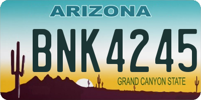 AZ license plate BNK4245