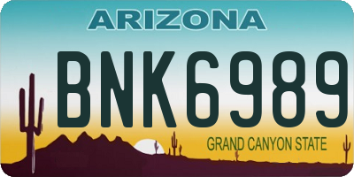 AZ license plate BNK6989