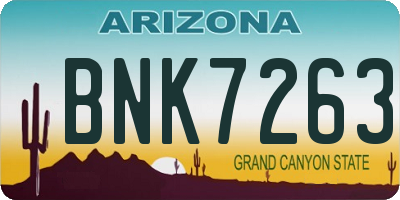 AZ license plate BNK7263