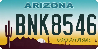 AZ license plate BNK8546