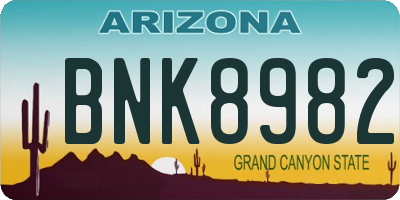 AZ license plate BNK8982