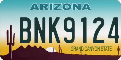 AZ license plate BNK9124