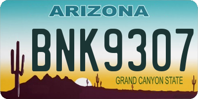AZ license plate BNK9307