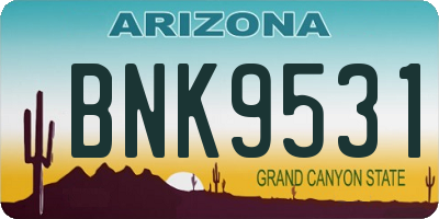 AZ license plate BNK9531