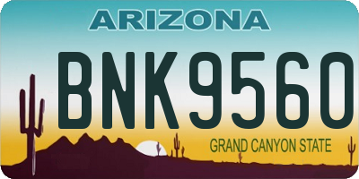 AZ license plate BNK9560