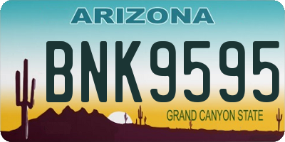 AZ license plate BNK9595