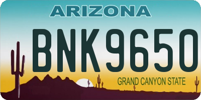 AZ license plate BNK9650