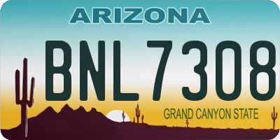 AZ license plate BNL7308