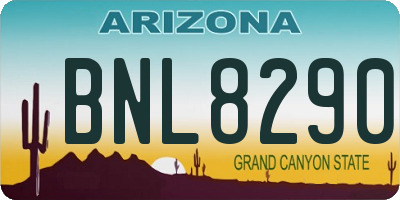 AZ license plate BNL8290