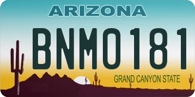AZ license plate BNM0181