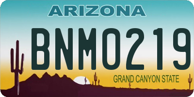 AZ license plate BNM0219