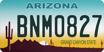 AZ license plate BNM0827