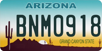 AZ license plate BNM0918
