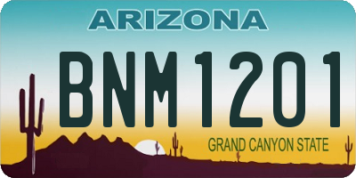 AZ license plate BNM1201
