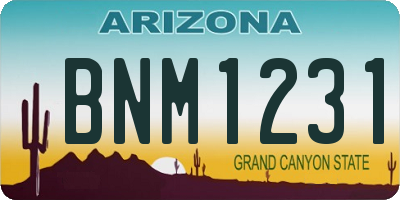 AZ license plate BNM1231