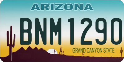 AZ license plate BNM1290