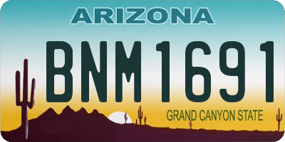 AZ license plate BNM1691