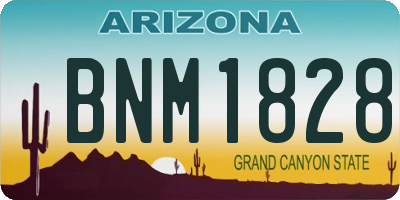 AZ license plate BNM1828