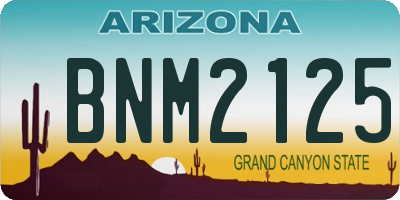 AZ license plate BNM2125