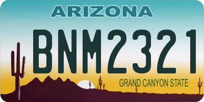 AZ license plate BNM2321