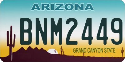 AZ license plate BNM2449