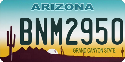 AZ license plate BNM2950